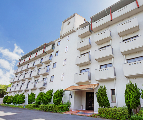 シーズン イン アミーゴス